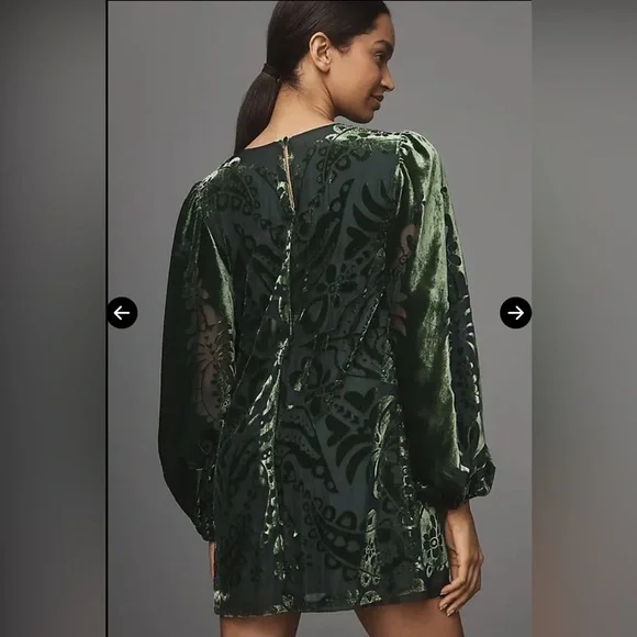 Farm Rio x Anthropologie Long-Sleeve Burnout Velvet Mini Dress, NWOT, size S - Picture 3 of 5